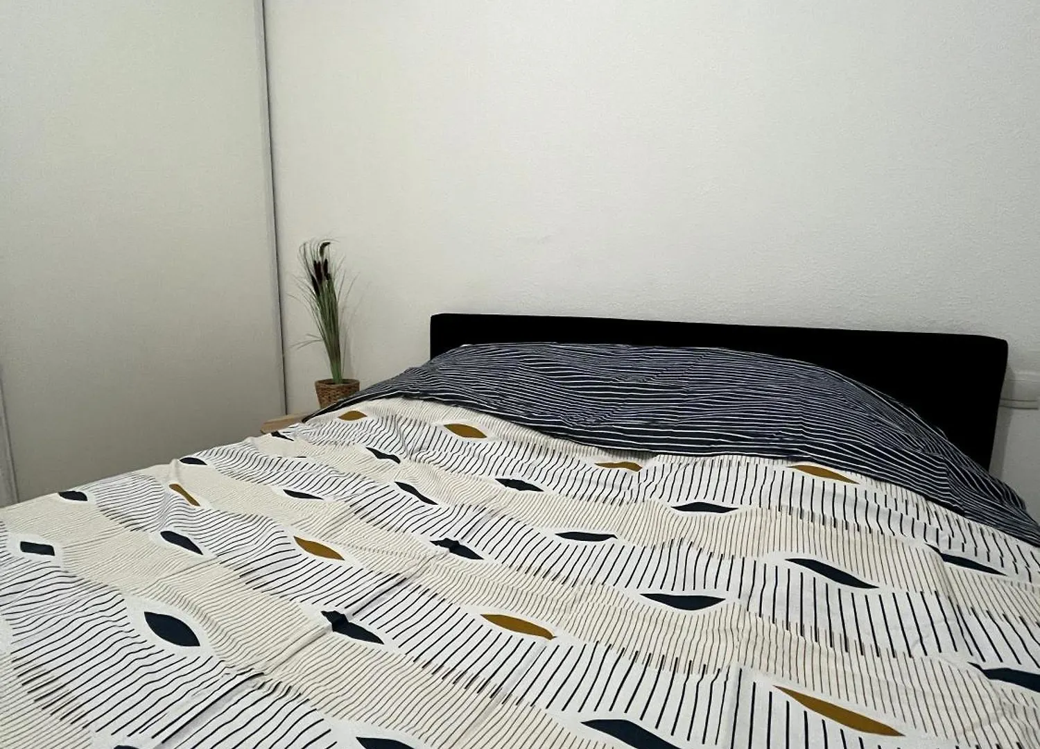 Appartement Felicita à Toulouse